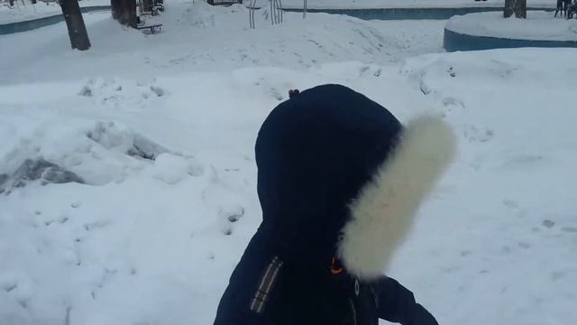 Влог зимние прогулки в парке смотреть онлайн