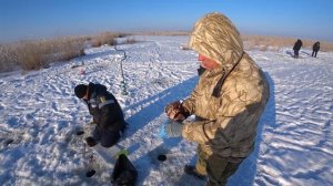 Ротан рыбалка зимой. Тырлык.