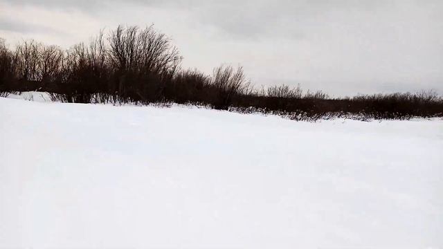 Страшная поездка по льду на реке. В поисках чистой воды смотреть онлайн