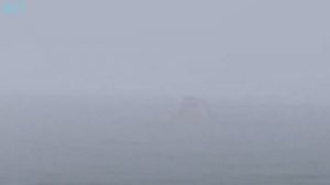 5 РАЗ КОГДА КРАКЕН СЛУЧАЙНО ПОПАЛ НА ВИДЕО