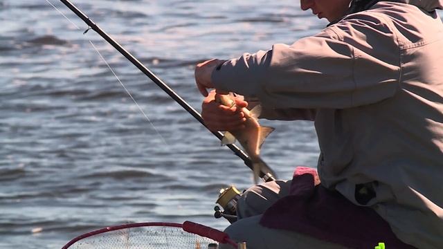 Осторожно гвозди! Весенний фидер на реке Мухавец. смотреть онлайн