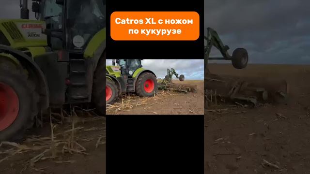 Catros XL с ножом по кукурузе #amazone #catros #k7 #tillage