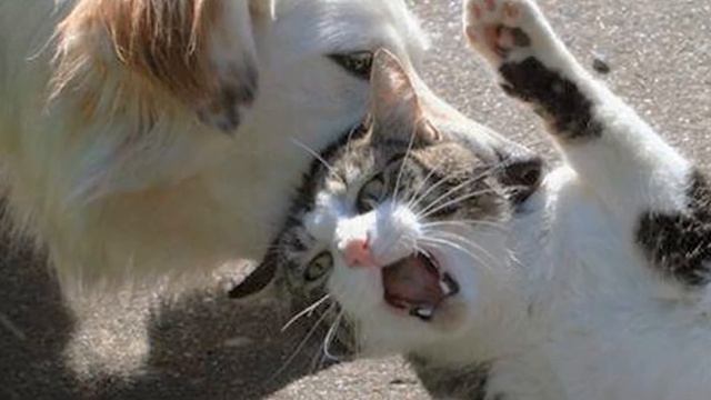 Надежда на Жизнь. (Рыбинск) смотреть онлайн