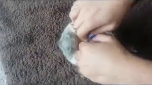 Бельченок по имени гав теперь так же и с белочкой она как котёнок.mp4