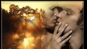 СТОП СТОП МУЗЫКА