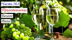 Приготовление Белого вина. Вино из Цитронного Магарача. Часть №3