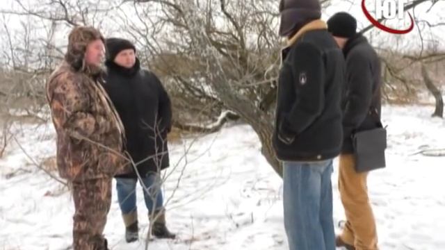 БЕРДЯНСК 2019 ВЫРУБКА ДЕРЕВЬЕВ ДАЛЬНЯЯ КОСА 2019 02 25 смотреть онлайн