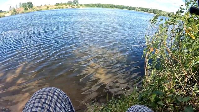 Ловля плотвы на поплавок в ветреную погоду #каналнарыбалку#плотва#поплавок