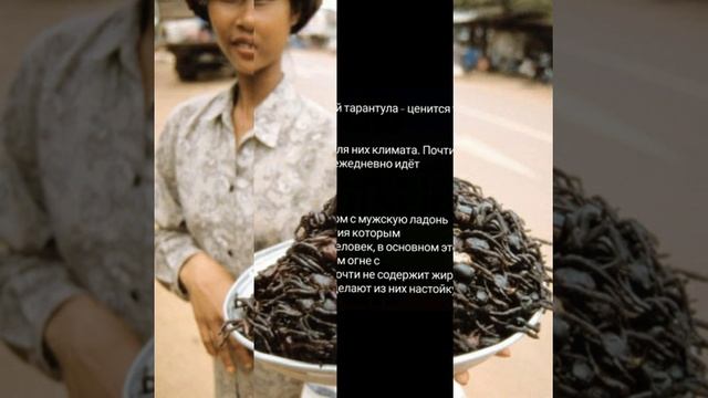 ТОП Самых опасных блюд мира!!!! смотреть онлайн