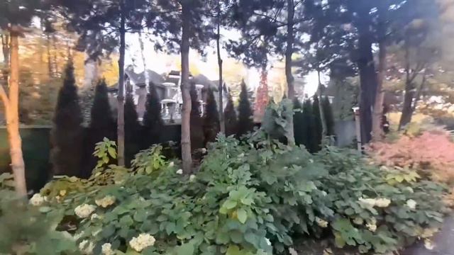 #460. #москва "Серебряный бор"-жемчужина Москвы. #moscow смотреть онлайн