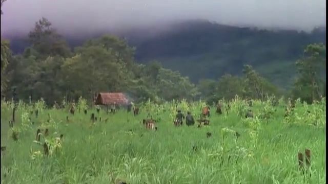 Special Forces Combat Patrol (1964) смотреть онлайн