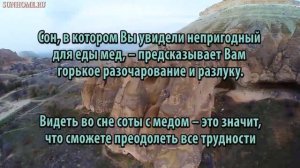 К чему снится Мед сонник, толкование сна