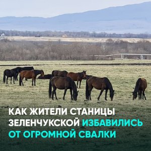 Как жители станицы Зеленчукской избавились от огромной свалки