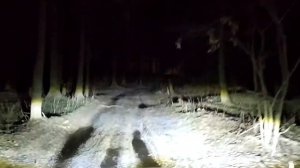 "Китайские" птф на ниву