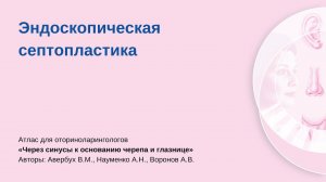 Эндоскопическая септопластика. Операцию проводит Владимир Михайлович Авербух.