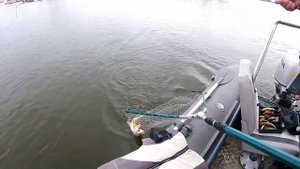 рыбалка в Селитренное 19марта2021