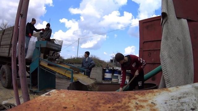 Готовимся к посевной! Веем ячмень.