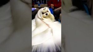 Во сколько лет ты узнал, что