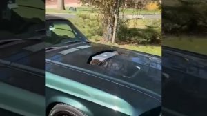 1967 Ford Mustang Fastback Sound