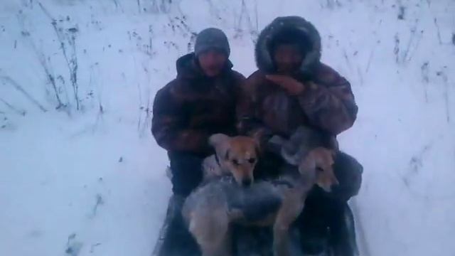 Снегоход Буран. Ехали с охоты на зайца смотреть онлайн