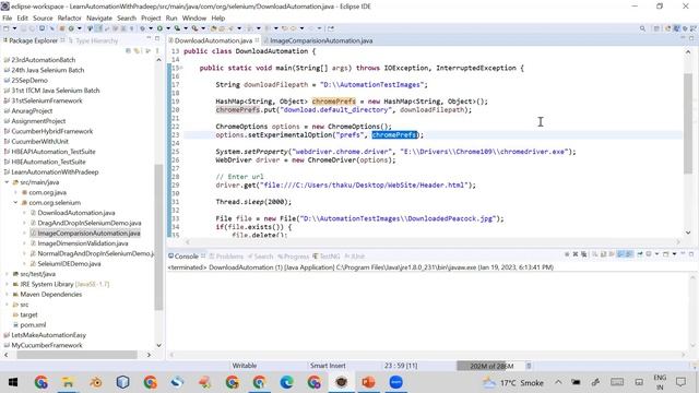 How to download any type of file using Selenium Web driver Automation | Pradeep Nailwal смотреть онлайн