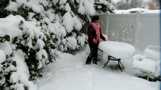 Зимняя осень 🍁 Об аномальной погоде в Северной Дакоте ❄