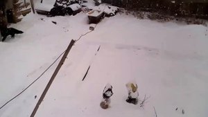 Конец 2018 - начало 2019 г. Сборник фото и видео с кратким описанием
