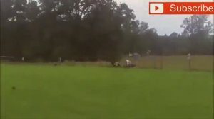 Смешные козы. Подборка приколов с козами.