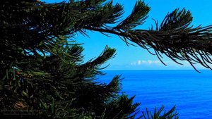 Нежная гитарная музыка для релакса, успокоения души, медитации  Music for relaxation, calming #7