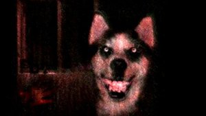 ИСТОРИИ НА НОЧЬ. Смайл Дог. УЛЫБНИСЬ!!! БОГ ЛЮБИТ ТЕБЯ