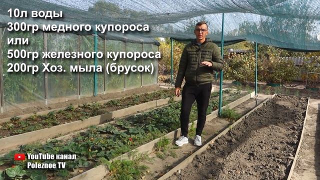 ОБРАБОТАЙТЕ ТАК В ОКТЯБРЕ САД И ЦВЕТНИК ОТ ВСЕХ БОЛЕЗНЕЙ И ВРЕДИТЕЛЕЙ