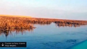 база отдыха в астраханской области камызякский район