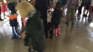 Blessing of the Pets