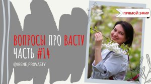 Южный сектор, почему он так важен. Вопросы про Васту, часть 14