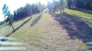 Полеты по FPV в лесу на квадрокоптере Eachine Racer 250 ( banggood )