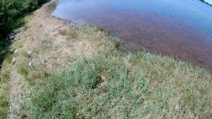 Рыбалка 2019 в ставропольском крае. Ростовановское водохранилище.Ловим толстолоба.