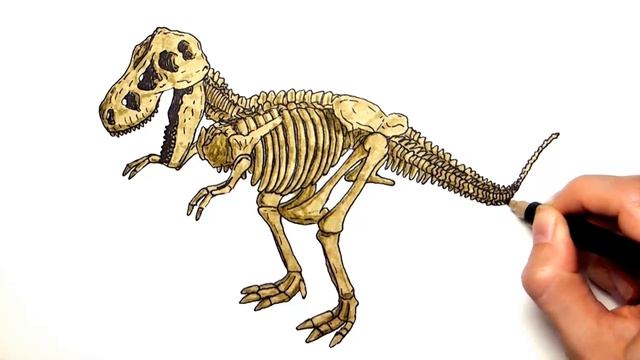 Нарисуй и раскрась скелет динозавра и Тираннозавра ! \\ Рисование для мальчиков!