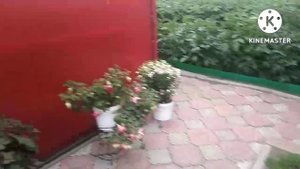 Сибирь. Принимаю участие в конкурсе Лучшая усадьба
