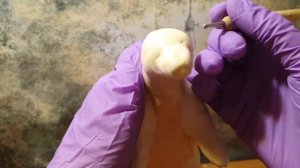 Йорек Бирнисон из Полимерной Глины // Золотой Компас