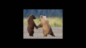 Песенка о дружбе (барбарики)