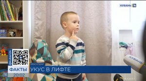 Пострадавший мальчик рассказал о нападении собаки в лифте в Краснодаре