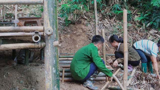 Leaving City Life, Living With Two Wives in the Green Forest, Build Stairs for Bamboo House - Ep.3