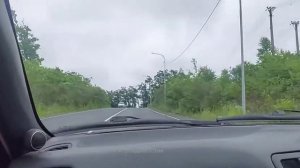 Поспелова.Остров Русский Владивосток 2022