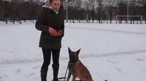 Счёт по команде