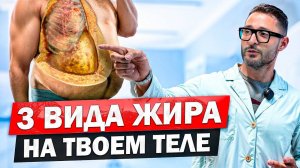 3 вида жира в твоем теле. Ожирение - это не только внешний вид!