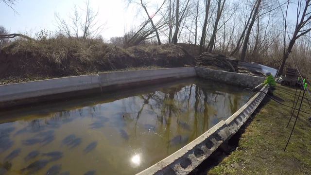 Рыбалка во время самоизоляции. смотреть онлайн
