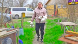 Мы снова хотим ФЕРМУ! Купили КУРИЦ! Какие планы по ферме? Кого планируем завести? Потянем вообще?