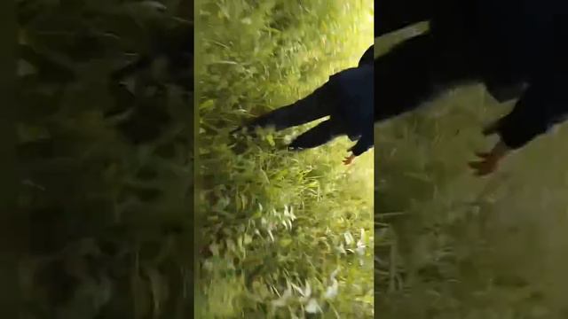Нашли кошелёк с деньгами (Пранк над другом)