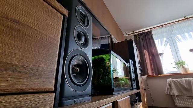 Wharfedale EVO 4.2 bass test смотреть онлайн