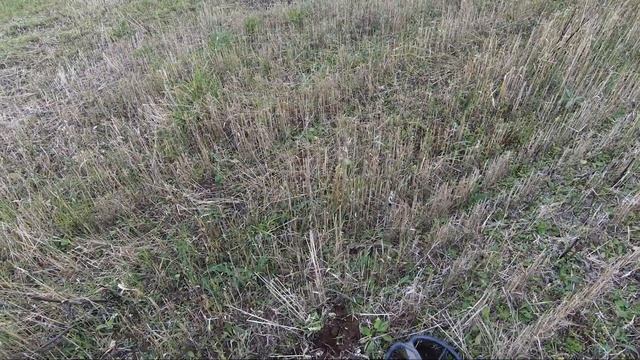 Коп на скошенных полях. Находки порадовали! #Коп 24.
